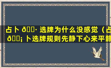 占卜 🌷 选牌为什么没感觉（占 🐡 卜选牌规则先静下心来平静30秒）